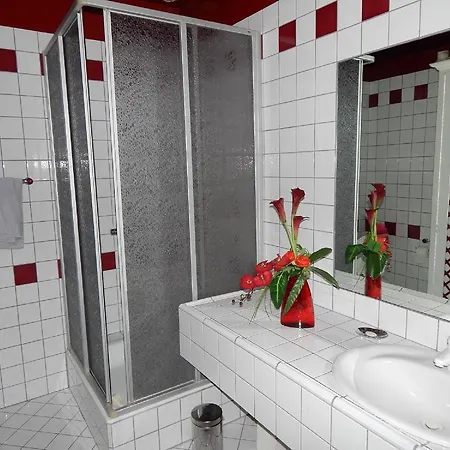 Bed & Breakfast Manoir Les Cedres *