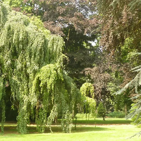Manoir Les Cedres Corbehem